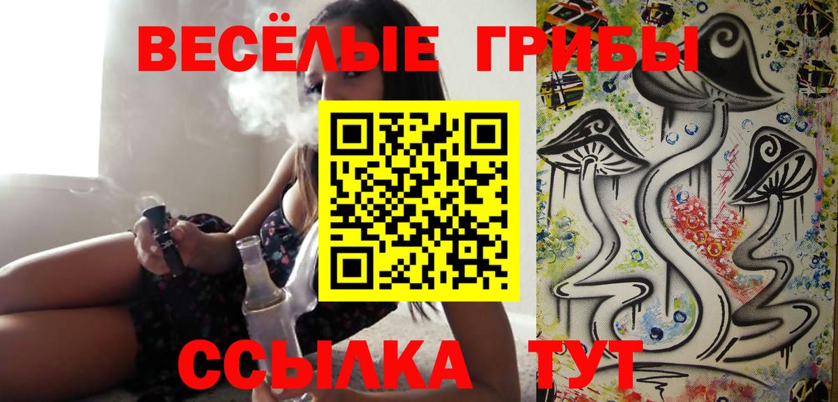 Аксай  Галлюциногенные грибы прущие грибы  Вход с VPN 